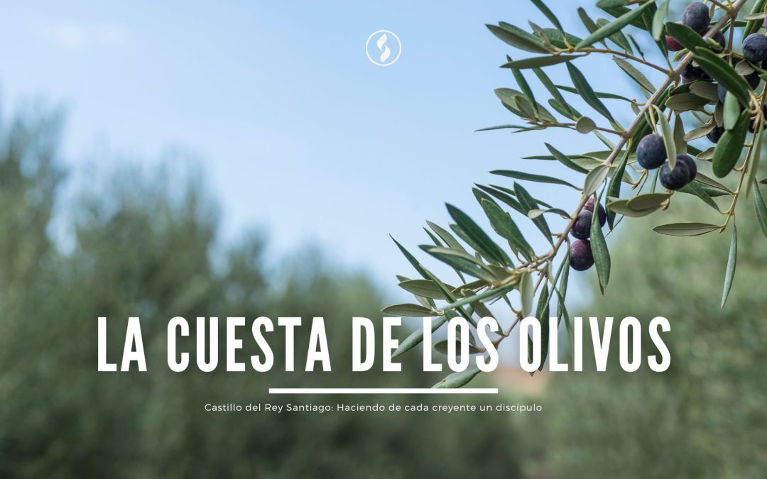 La cuesta de los Olivos