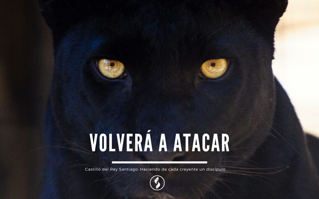 Volverá a atacar