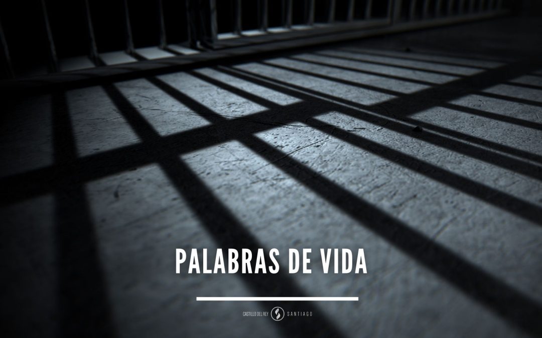 Palabras de vida